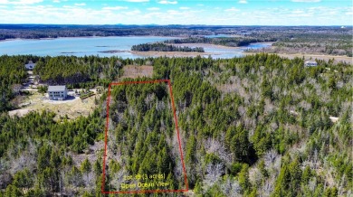 Beach Acreage For Sale in Roque Bluffs, Maine