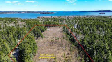 Beach Acreage For Sale in Roque Bluffs, Maine