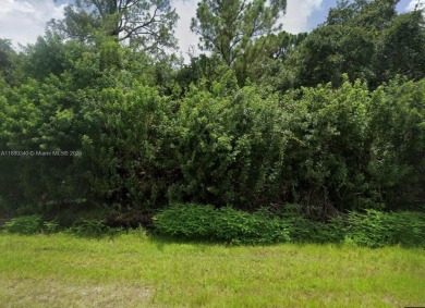 Beach Lot For Sale in Port Charlotte, Florida