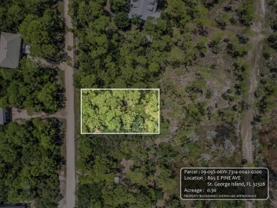 Beach Lot For Sale in St. George Island, Florida