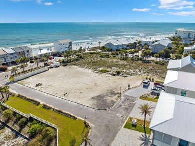 Beach Lot For Sale in Inlet Beach, Florida