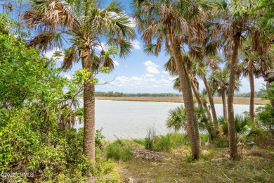 Beach Acreage For Sale in Saint Helena Island, South Carolina
