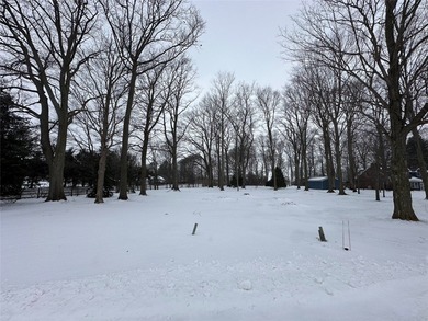 Beach Lot For Sale in North East, Pennsylvania