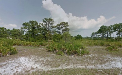 Beach Lot For Sale in Placida, Florida