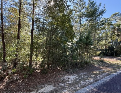 Beach Lot For Sale in Santa Rosa Beach, Florida