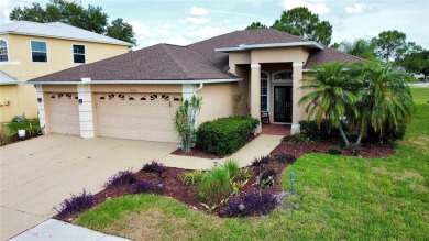 Beach Home For Sale in Riverview, Florida