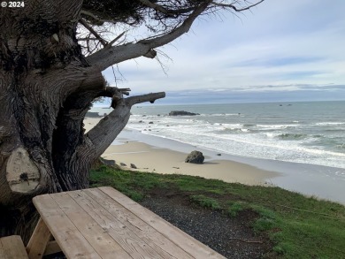 Beach Lot For Sale in Gold Beach, Oregon