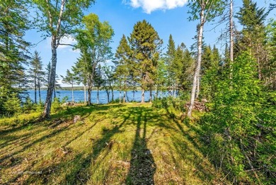 Beach Acreage For Sale in Gouldsboro, Maine