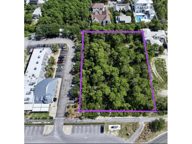 Beach Condo For Sale in Inlet Beach, Florida