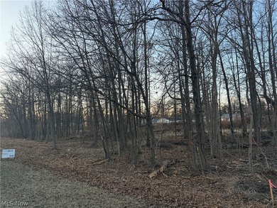 Beach Acreage For Sale in Vermilion, Ohio