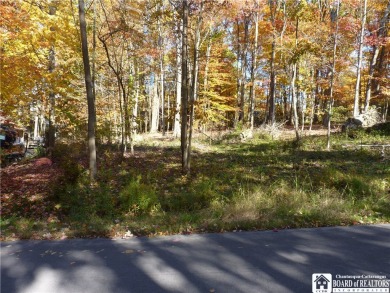 Beach Lot For Sale in Ellery, New York