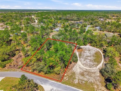 Beach Lot For Sale in Weeki Wachee, Florida