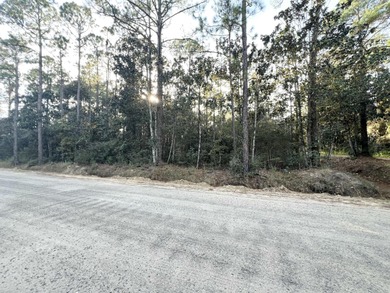 Beach Lot For Sale in Santa Rosa Beach, Florida