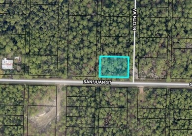 Beach Lot For Sale in Milton, Florida