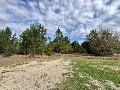 Beach Acreage For Sale in Daphne, Alabama