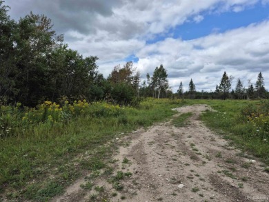 Beach Acreage For Sale in Gulliver, Michigan