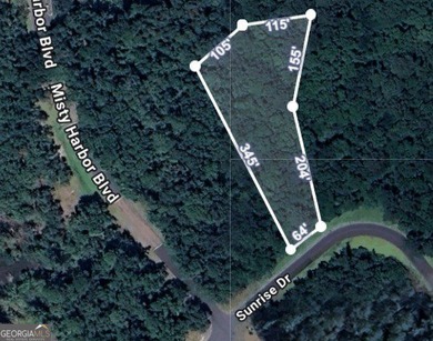 Beach Lot For Sale in Woodbine, Georgia