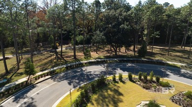 Beach Lot For Sale in Fairhope, Alabama