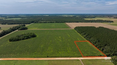 Beach Acreage For Sale in Elberta, Alabama