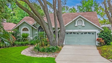 Beach Home For Sale in Palm Harbor, Florida