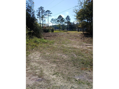 Beach Lot For Sale in Santa Rosa Beach, Florida
