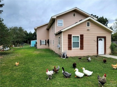 Beach Home For Sale in Rio Hondo, Texas