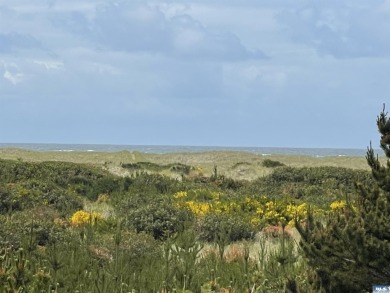 Beach Lot For Sale in Ocean Shores, Washington