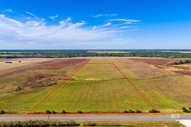 Beach Acreage For Sale in Elberta, Alabama