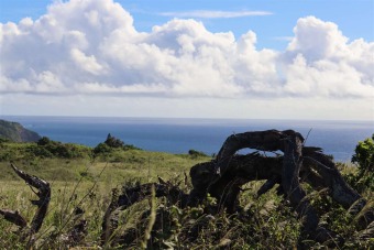 Beach Acreage Off Market in Hana, Hawaii