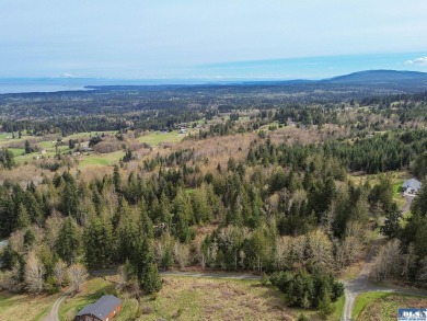Beach Acreage For Sale in Port Angeles, Washington