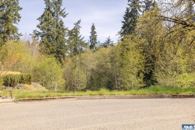 Beach Lot For Sale in Port Angeles, Washington