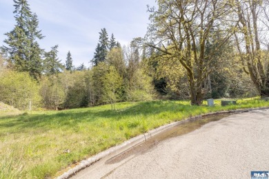 Beach Lot For Sale in Port Angeles, Washington