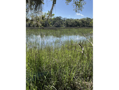 Beach Lot For Sale in Beaufort, South Carolina