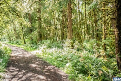 Beach Acreage For Sale in Sekiu, Washington