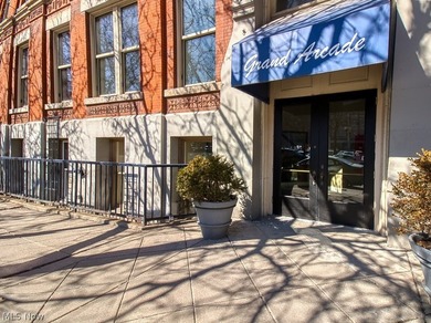 Beach Condo For Sale in Cleveland, Ohio