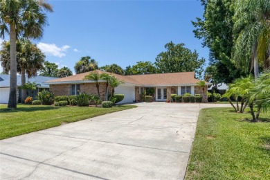 Beach Home For Sale in New Smyrna Beach, Florida