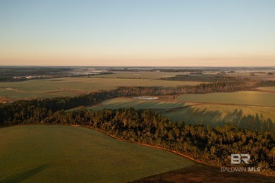 Beach Acreage For Sale in Elberta, Alabama