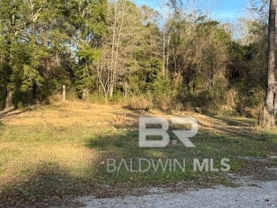 Beach Lot For Sale in Robertsdale, Alabama