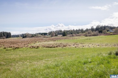 Beach Acreage For Sale in Port Angeles, Washington