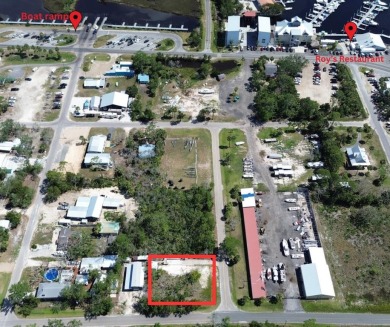 Beach Lot For Sale in Steinhatchee, Florida
