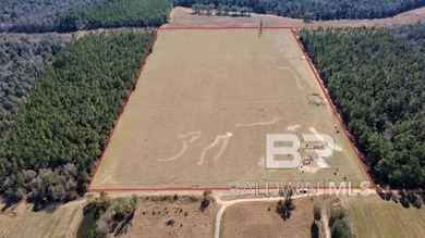 Beach Acreage For Sale in Robertsdale, Alabama