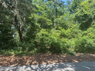 Beach Lot For Sale in Saint Helena Island, South Carolina