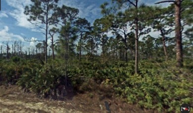 Beach Lot For Sale in Punta Gorda, Florida