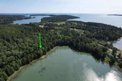 Beach Lot For Sale in Swans Island, Maine