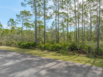Beach Lot For Sale in Panacea, Florida