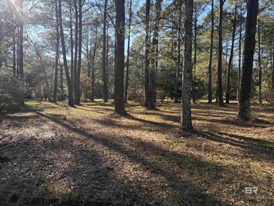 Beach Acreage For Sale in Mobile, Alabama