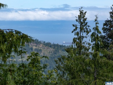 Beach Acreage For Sale in Port Angeles, Washington