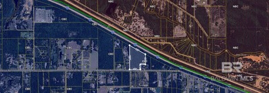 Beach Acreage For Sale in Robertsdale, Alabama