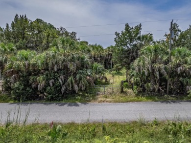 Beach Lot For Sale in Crawfordville, Florida