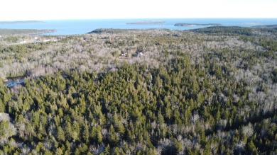 Beach Acreage For Sale in Machiasport, Maine